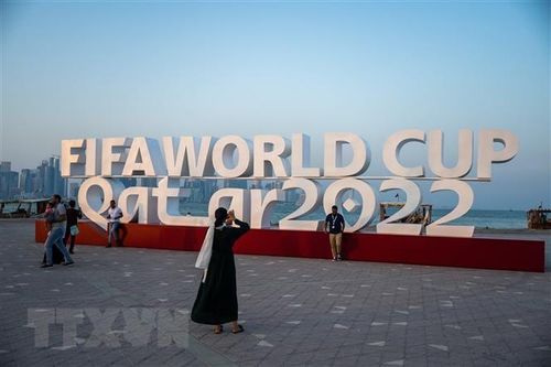World Cup: Qatar đài thọ toàn bộ chi phí cho nhiều cổ động viên Bỉ