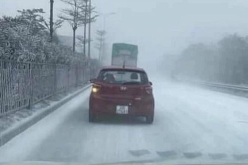 Sự thật về con đường ở Hà Nội phủ đầy 'tuyết trắng' như trời Âu
