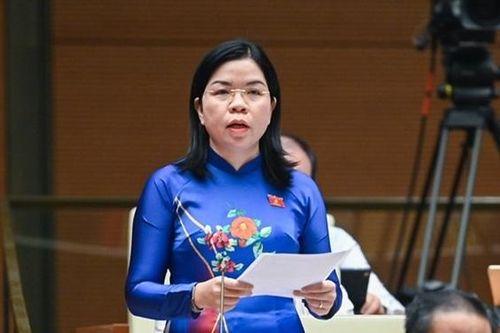 Dân chủ, trí tuệ và trách nhiệm cao