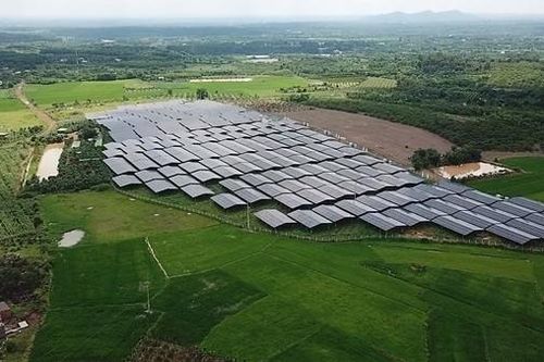 Đua nhau lách luật, vẽ dự án điện mặt trời trên đất nông nghiệp