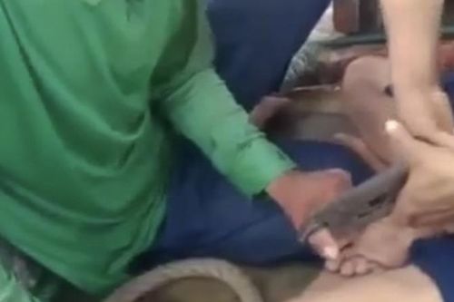 Cà Mau chỉ đạo làm rõ vụ hành hạ ngư dân trên tàu khai thác