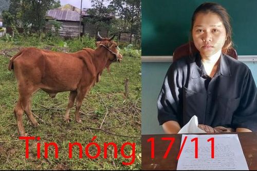 Tin nóng 17/11: Gã đàn ông đột nhập nhà người tình làm việc mờ ám