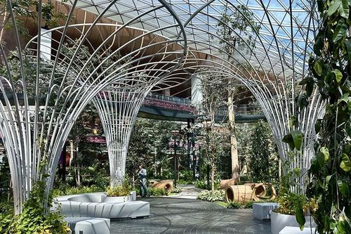 Cận cảnh khu vườn hơn 6.000m2 ở sân bay quốc tế hiện đại nhất Qatar