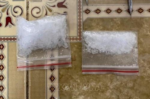 Bắt giữ nhiều đối tượng tàng trữ trái phép ma túy