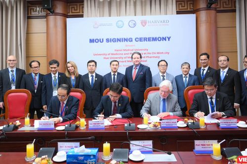 Trường Y Harvard ký kết hợp tác với 3 trường đại học Y -Dược hàng đầu Việt Nam