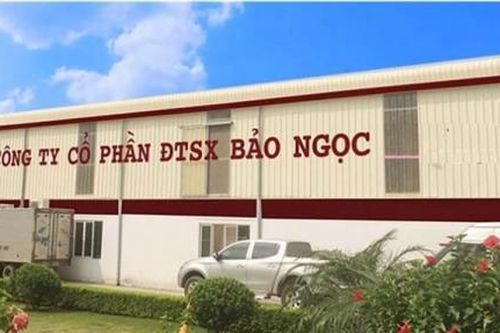 Giao dịch với người liên quan, Công ty Bảo Ngọc bị xử phạt 225 triệu đồng