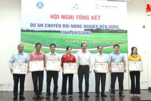 Tổng kết dự án Chuyển đổi nông nghiệp bền vững (VnSAT) tỉnh An Giang