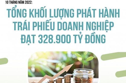 Khối lượng phát hành trái phiếu doanh nghiệp đạt 328.900 tỷ đồng trong 10 tháng năm 2022