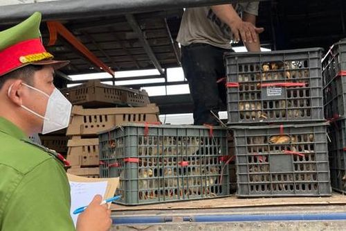 Liên tiếp phát hiện nhiều phương tiện vận chuyển hàng hóa không rõ nguồn gốc