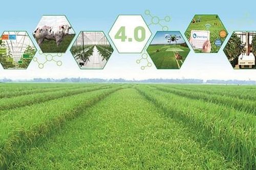 Tháo gỡ điểm nghẽn thúc đẩy chuyển đổi số trong lĩnh vực nông nghiệp