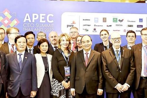 Tiếp tục đẩy mạnh hoạt động đầu tư, kinh doanh tại khu vực