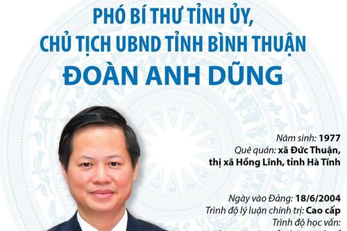 Phó Bí thư, Chủ tịch UBND tỉnh Bình Thuận Đoàn Anh Dũng