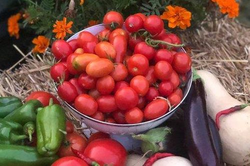 Khu vườn xinh đẹp của gia đình nhỏ tạm biệt thành phố để về quê sinh sống