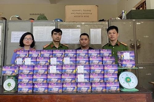 Xóa đầu mối cung cấp pháo nổ tại Nghệ An