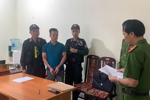 Bắt tạm giam giám đốc phá rừng trái phép tại Điện Biên