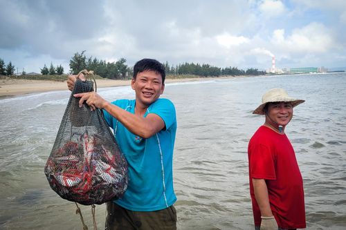 Trúng đậm ghẹ, ngư dân Hà Tĩnh bỏ túi hàng chục triệu đồng