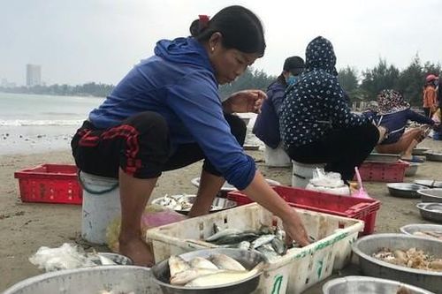 Hải sản bán theo mớ, khách ra tận bãi biển tranh nhau mua