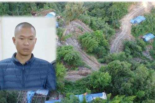 Bắt giam đối tượng mở đường rừng đào vàng trái phép