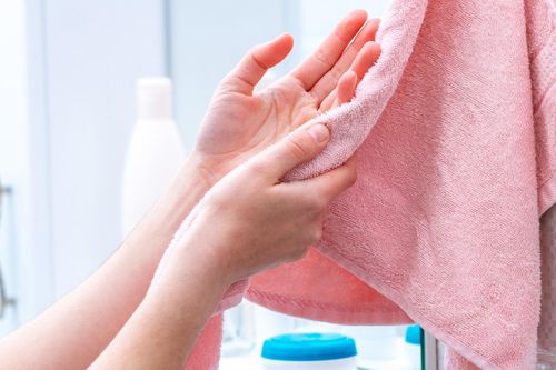 Cách vi khuẩn gây bệnh thương hàn có thể lây lan