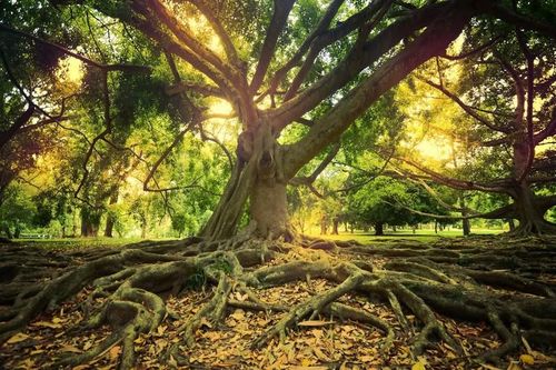 Giật mình 'thủ phạm' gây ra nhiều cuộc đại tuyệt chủng trên Trái đất