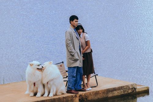 Những địa điểm chụp ảnh đậm chất làng quê châu Âu ở Đà Lạt