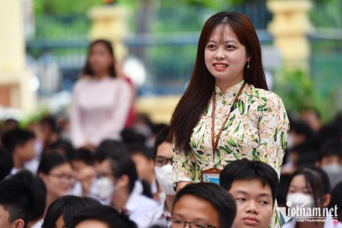 Những lời chúc Ngày nhà giáo 20/11 hay và ý nghĩa bằng tiếng Anh