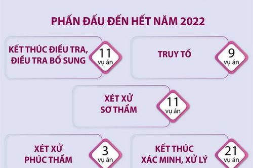Đẩy mạnh điều tra, truy tố, xét xử các vụ án, xử lý các vụ việc thuộc