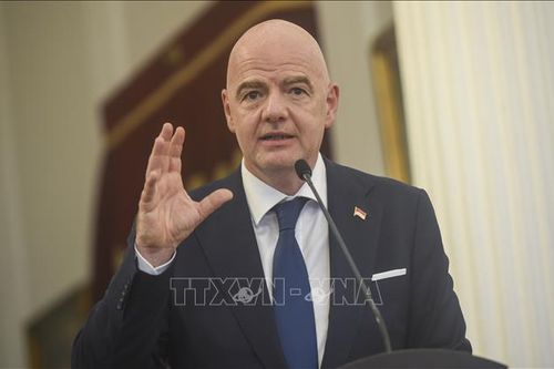 FIFA ủng hộ quyết định cấm bán bia tại các sân vận động ở Qatar