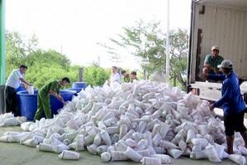 Bạc Liêu: Không có giấy kiểm dịch động vật, hơn 2 triệu con tôm giống bị tiêu hủy