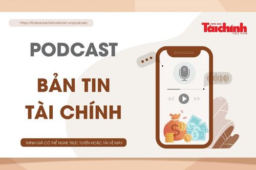 Bản tin Tài chính - số 03 tháng 11/2022