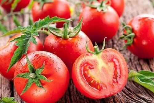 Chuyên gia bật mí: Cà chua có thể giúp tăng cường sức khỏe đường ruột