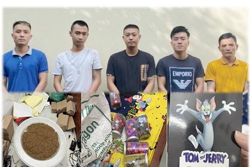 Bắt nhóm đối tượng cất giấu loại ma túy mới