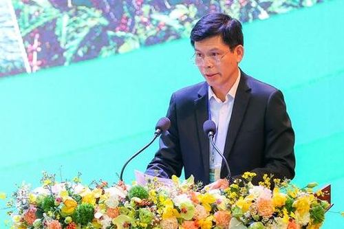 Các tuyến cao tốc liên kết vùng sẽ 'đánh thức' một Tây Nguyên trù phú