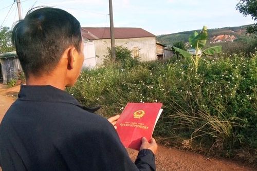 Làm rõ sai phạm trong việc cấp đất 'trên giấy' tại Quảng Sơn