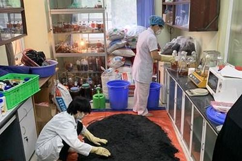 Chế phẩm sinh học giúp xử lý ô nhiễm dầu