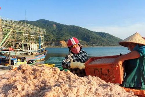 Ngư dân Hà Tĩnh trúng 'lộc biển' những ngày đầu vụ cá Bắc