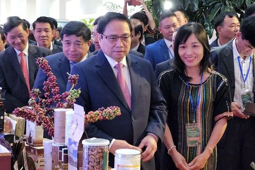 Thủ tướng chủ trì Hội nghị xúc tiến đầu tư vùng Tây Nguyên