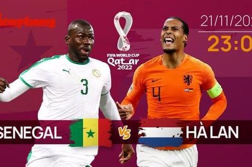 World Cup 2022: Tương quan trận đấu Senegal - Hà Lan, 23 giờ 21/11