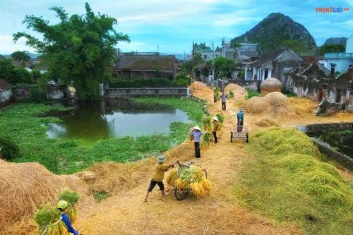 Về với quê xưa