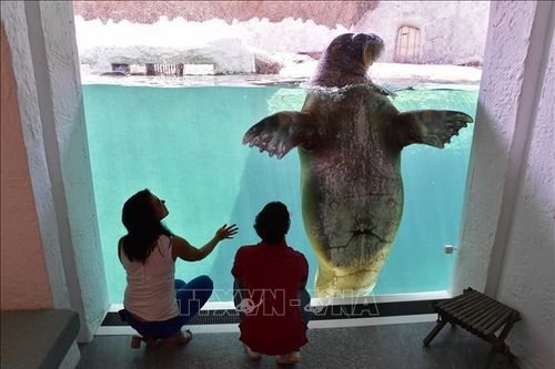 Công viên động vật hoang dã Pairi Daiza bảo vệ đa dạng sinh học