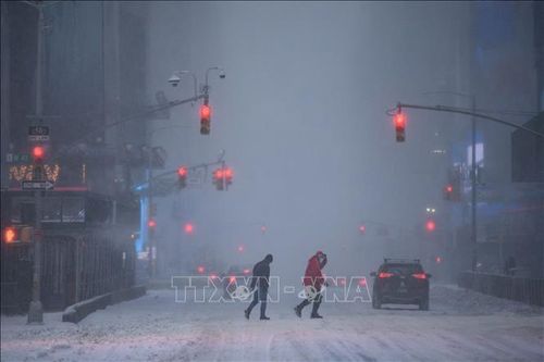 Bang New York (Mỹ) hạn chế hoạt động đường bộ, đường không do bão tuyết