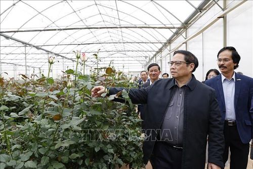 Thủ tướng Phạm Minh Chính thăm cơ sở trồng hoa công nghệ cao tại Đà Lạt