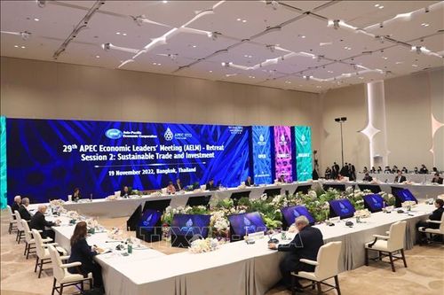 Tầm nhìn toàn diện để phục hồi bền vững