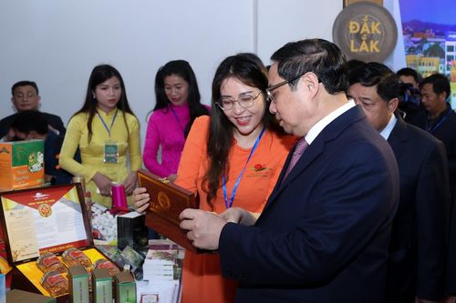 Phát triển vùng nông nghiệp mang 'bản sắc Tây Nguyên'