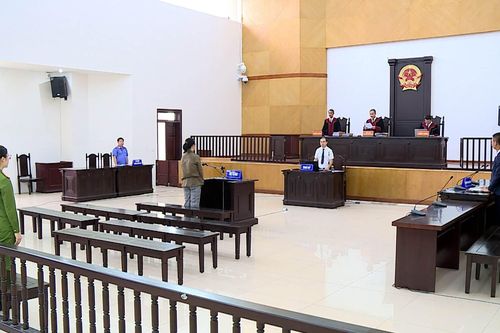 Giảm án tù cho nữ giám đốc trốn thuế