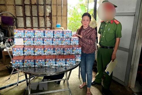 Bắt giữ 2 đối tượng vận chuyển, tàng trữ trái phép hơn 1,2 tạ pháo hoa