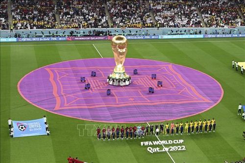 Cổ động viên TP Hồ Chí Minh chờ những bất ngờ tại World Cup 2022