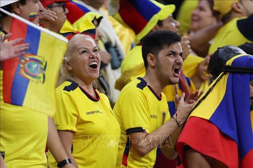 WORLD CUP 2022: Người dân Ecuador đổ ra đường ăn mừng chiến thắng lịch sử
