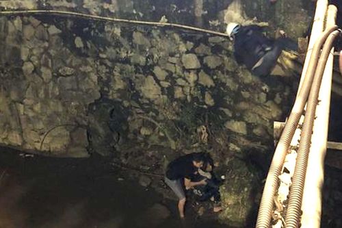Chủ tịch nước viết thư khen chàng trai Thanh Hóa nhảy xuống sông cứu cô gái trẻ