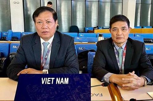 Thứ trưởng Bộ Y tế Đỗ Xuân Tuyên và đoàn Việt Nam tham dự hội nghị lần thứ 45 Đại hội đồng Codex quốc tế